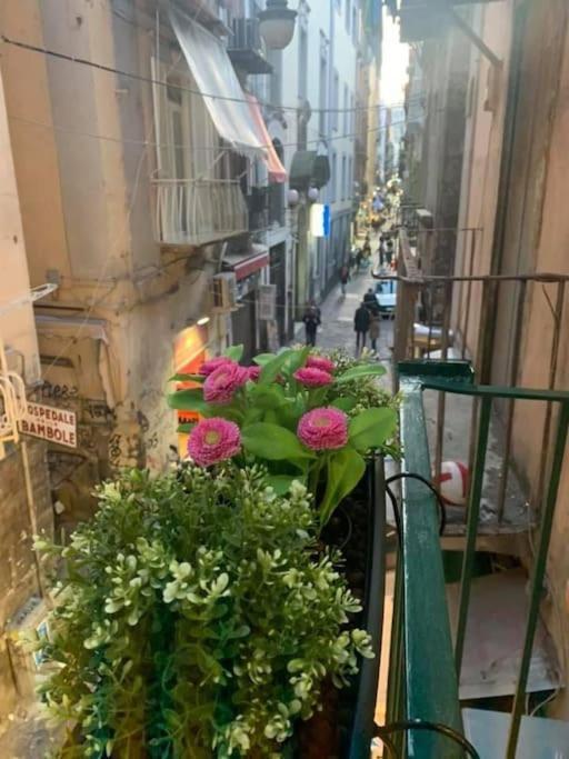 La Casa Di Patta A Spaccanapoli Экстерьер фото
